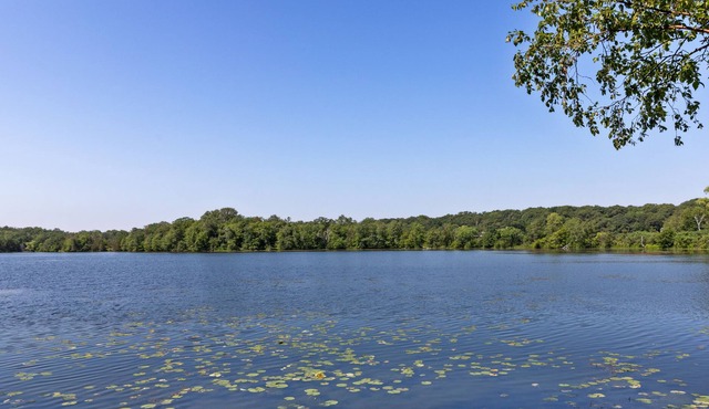 Amazing Lakefront Cabin Close to Downtown Mpls!