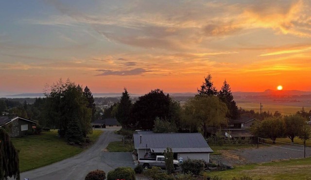 Amazing Lodge Retreat amongst a hundred acres of woods!