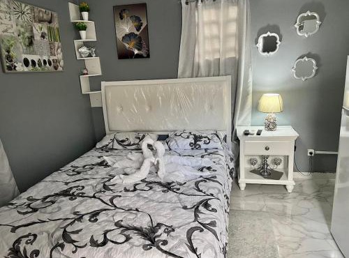 Amazing Modern Studio in Marigot