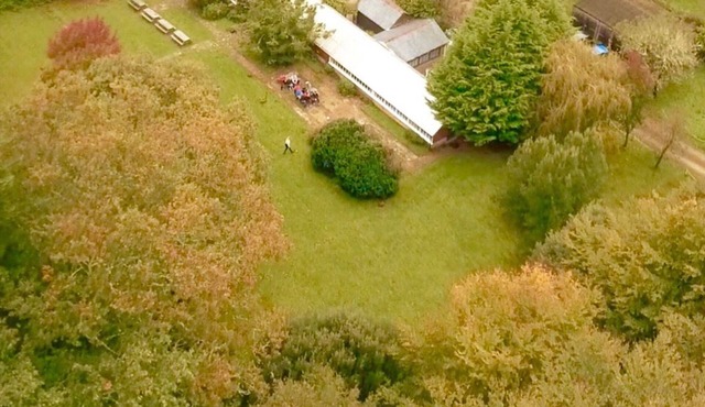 Amazing New Forest location - Sleeps up to 14 people