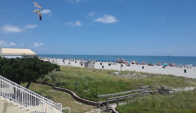 AMAZING OCEAN VIEW ! Watch Rocket Launches from the beach!