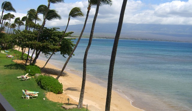 Amazing Oceanfront Condo, Tropical Luxury, Great Value, 2 BR, 2 Bath