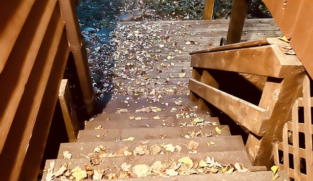 AMAZING! Private Suite w Separate Entrance+Parking - 2-3 min walk to the Lake