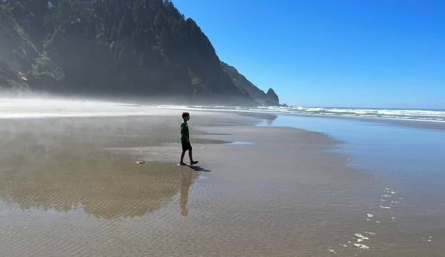 Amazing riverfront property on the Siuslaw!