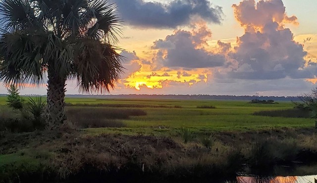 AMAZING SEA PALMS RENTAL! Perfect for Families! 4 Bed/3 bath, sleeps 8-GOLF!