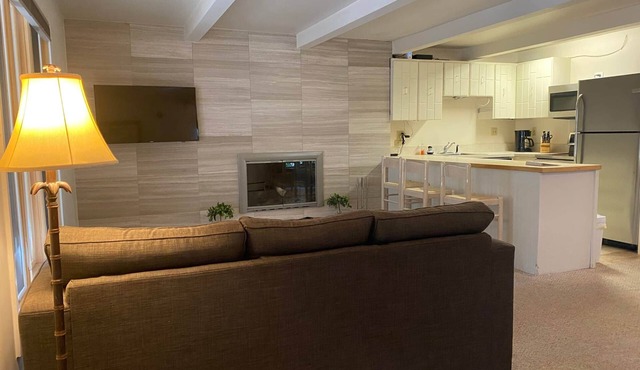 Amazing setting - 2 blocks to Aspen Gondola, 1 BR, Amazing Core location - 1 BR
