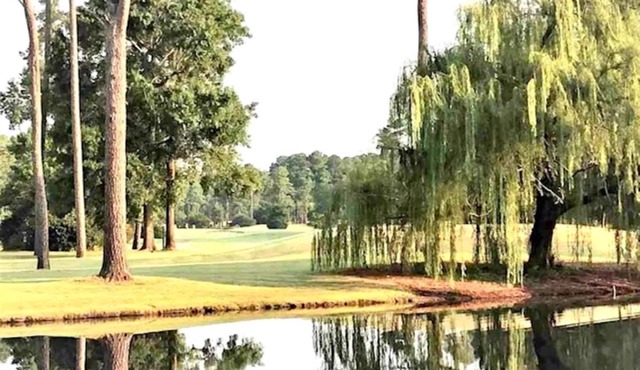 Amazing Spacious Golf View Condo