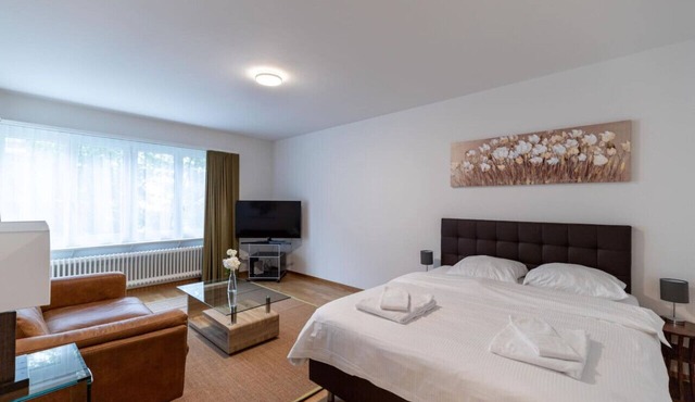 Amazing studio (37 sqm) city center/Enge (Wille 4)