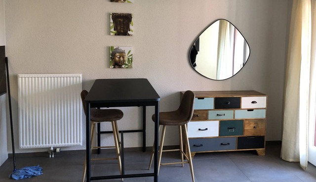 Amazing Studio In Lausanne Close To Epfl & Unil