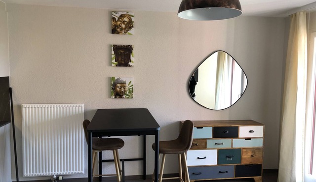 Amazing Studio In Lausanne Close To Epfl and Unil