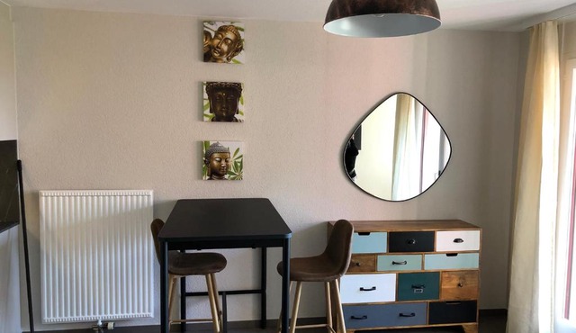 Amazing Studio In Lausanne Close To Epfl and Unil