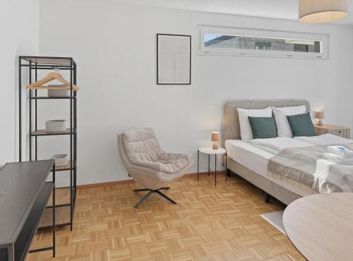 Amazing studio in the city centre - Art 17