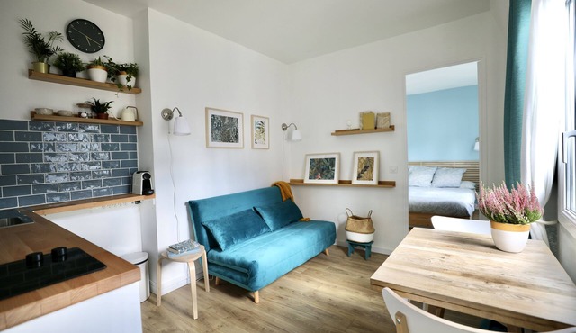 Amazing Sunny flat close to Montmartre