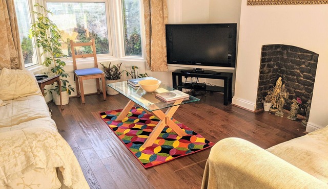 Amazing very spacious quiet convenient garden apartment in central London