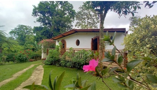 Amazing View to the Mountains, Wifi, Pet Friendly, @drvacationsrental