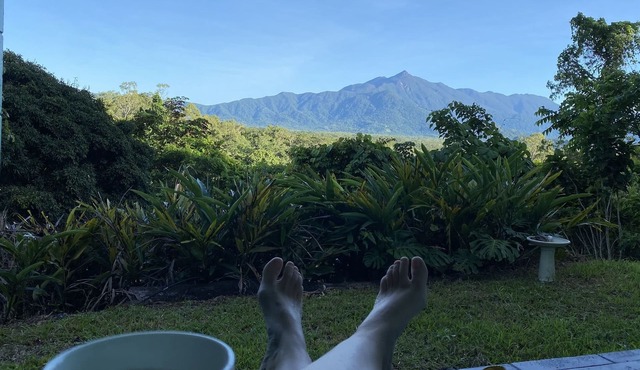 Amazing views - Flame Trees over the Daintree