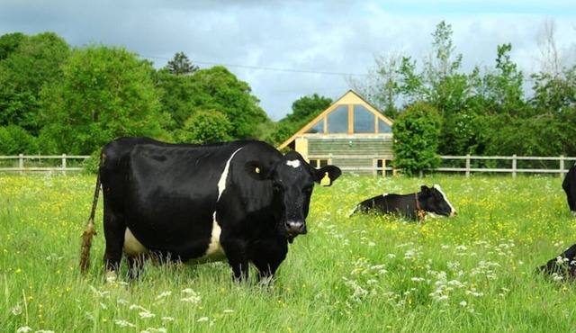 Amazing views in luxury cottage