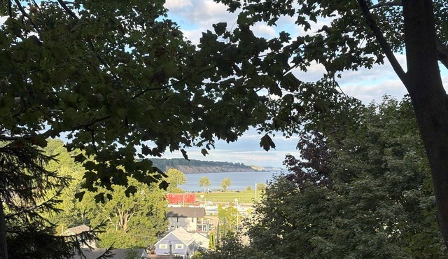 Amazing Views of Two Beaches – Treehouse Retreat with Wildlife & Waves