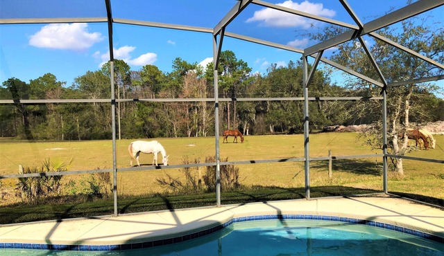 Amazing Views! Private 5 Bedroom Villa