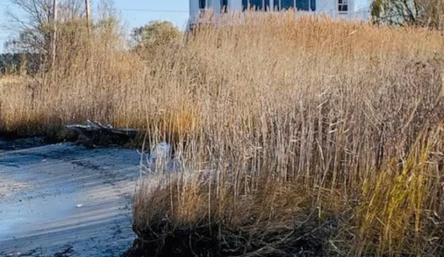 Amazing views waterfront 3-bedroom home in Madison with a 190 foot pier!