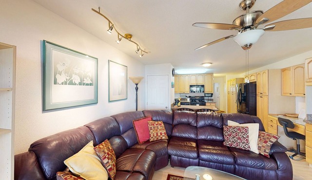 Amazing waterfront condo with ocean views, shared pool, balcony, & grill