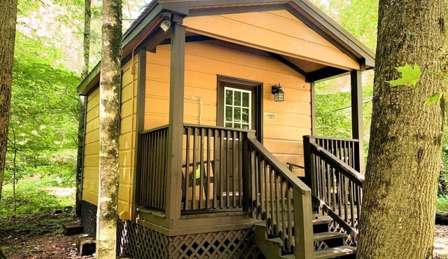 Amazing Wooden Cabin in Monterville, West Virginia