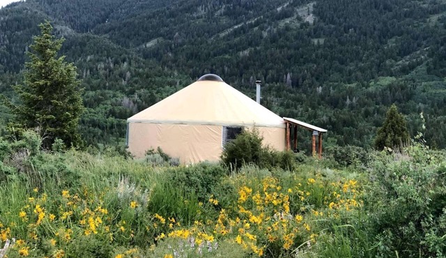 Amazing Yurt in Idaho for Camping Near Caribou National Forest