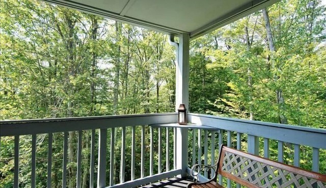 Amazingly affordable lodging in the center of Canaan Valley!