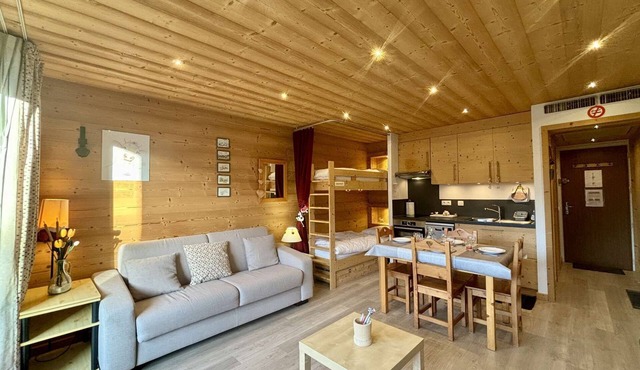 Ambrunes 9: Large renovated studio, center of Châtel