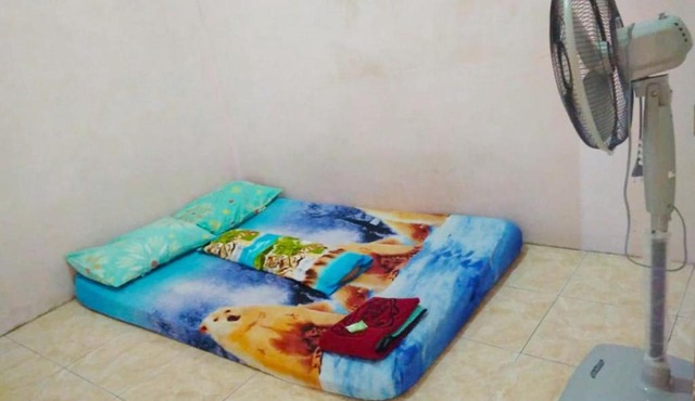 Amelia 4 Guest House Female
