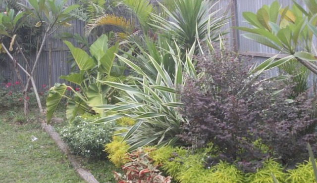 Amelia Guest House