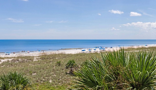 Amelia Island 1 BR Seaside Escape at Terraces at Beachside
