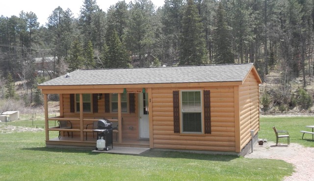 American Pines Cabin, 5 Miles from Mt. Rushmore!