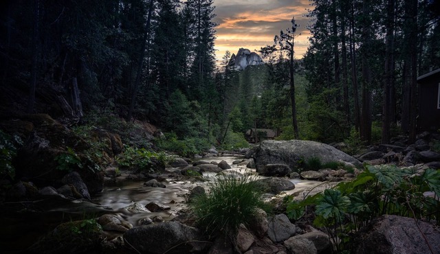 American River Gem Close to Tahoe, Skiing, and Adventure.