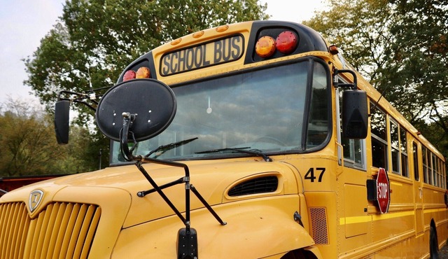 American School bus unique, quirky tiny home on wheels