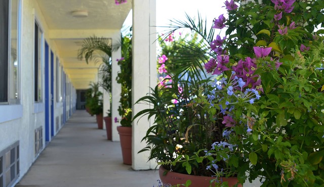 Americas Best Value Inn Bradenton Sarasota