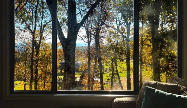 Among the Trees: Trails+Tastings+Relaxation Hub