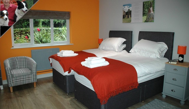 Amongst The Leaves So Green O . National Forest Studio Gem