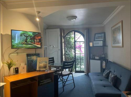 Amplia Habitación tipo Ejecutiva con baño y acceso privados