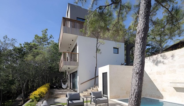 Amsterdam Family House