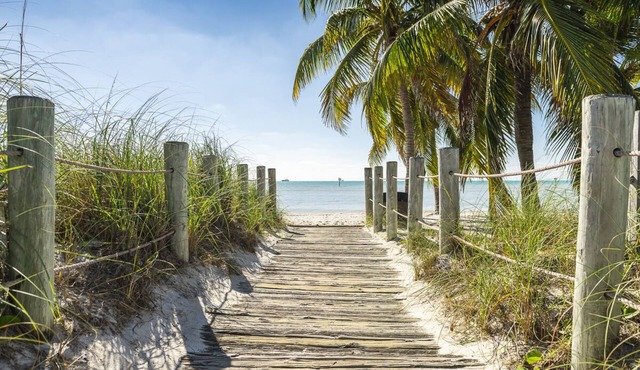 Amsterdam's Curry Mansion Inn