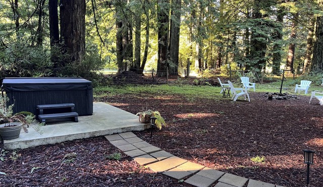 Amy's Redwood Cottage