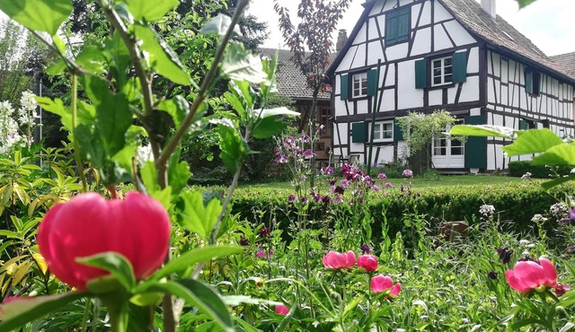 An Alsatian House