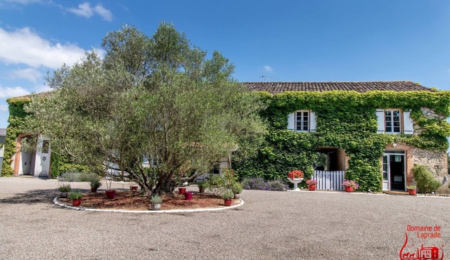 An area of tranquility, comfort and simplicity.