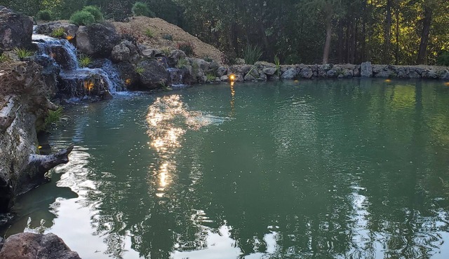 An Oasis Among the Redwoods