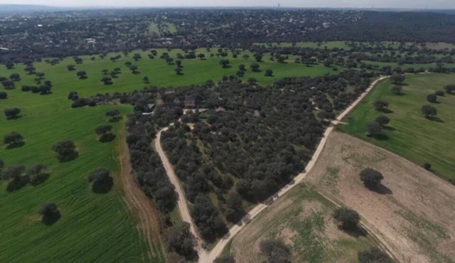 AN OASIS IN MADRID