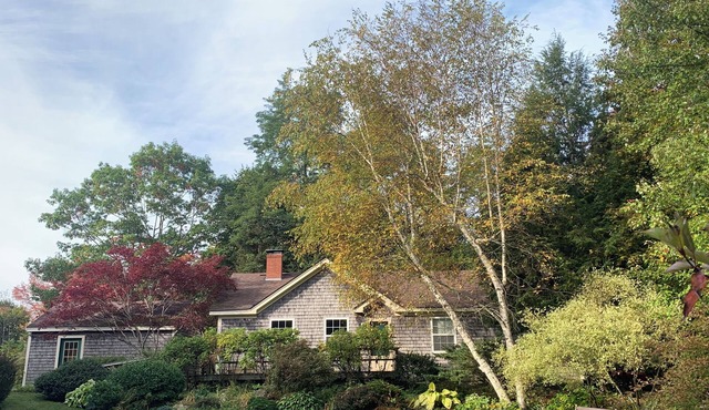 . . . an oasis in the heart of Camden.