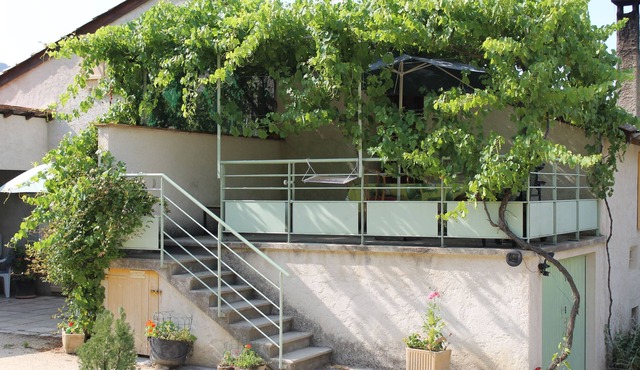 An oasis in the vineyard