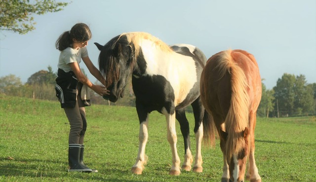 An ocean of greenery and tranquility. In the heart of Périgord.