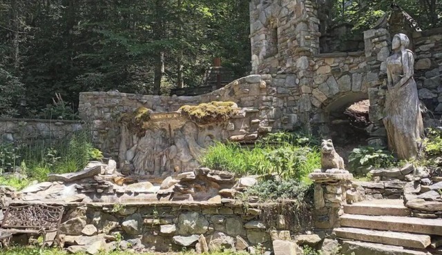 An Understory Sanctuary